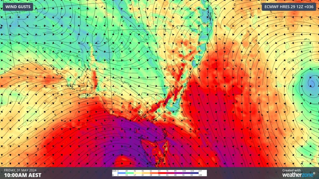 Forecast wind gusts at 10am on Friday