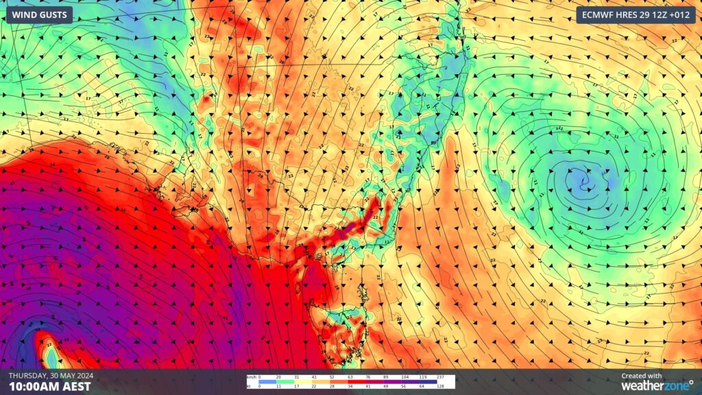 Forecast wind gusts at 10am on Friday